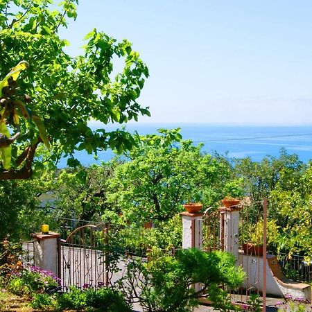 אקוואפרדה B&B La Casa Del Gelso מראה חיצוני תמונה