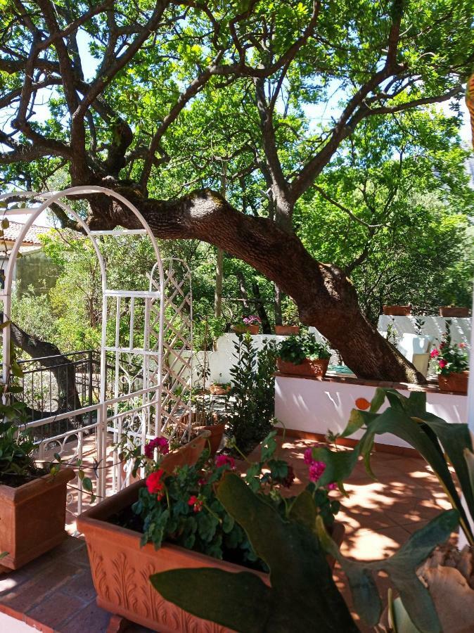 אקוואפרדה B&B La Casa Del Gelso מראה חיצוני תמונה