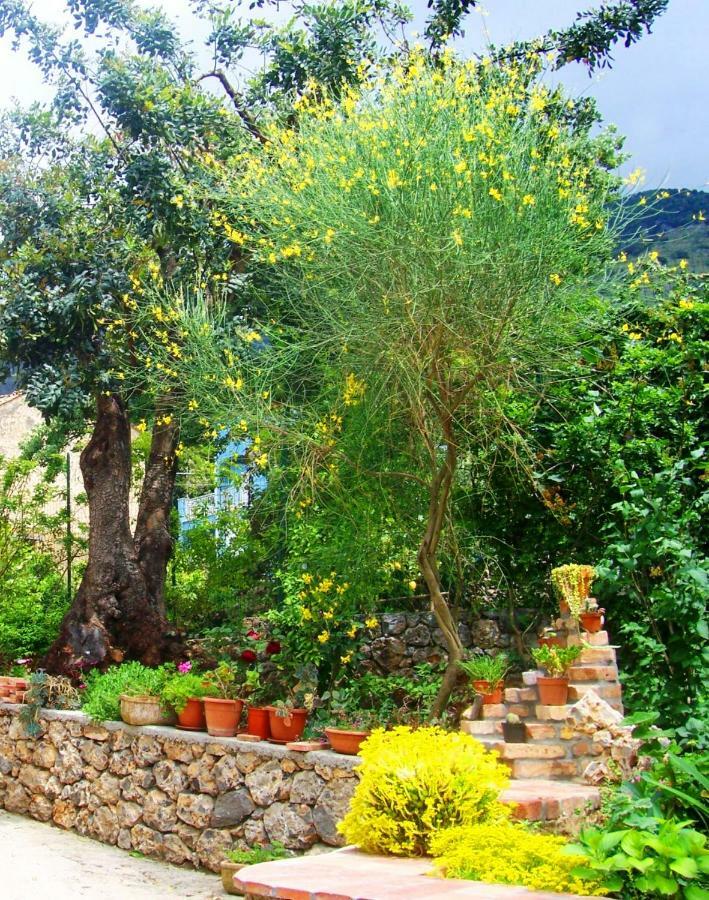 אקוואפרדה B&B La Casa Del Gelso מראה חיצוני תמונה