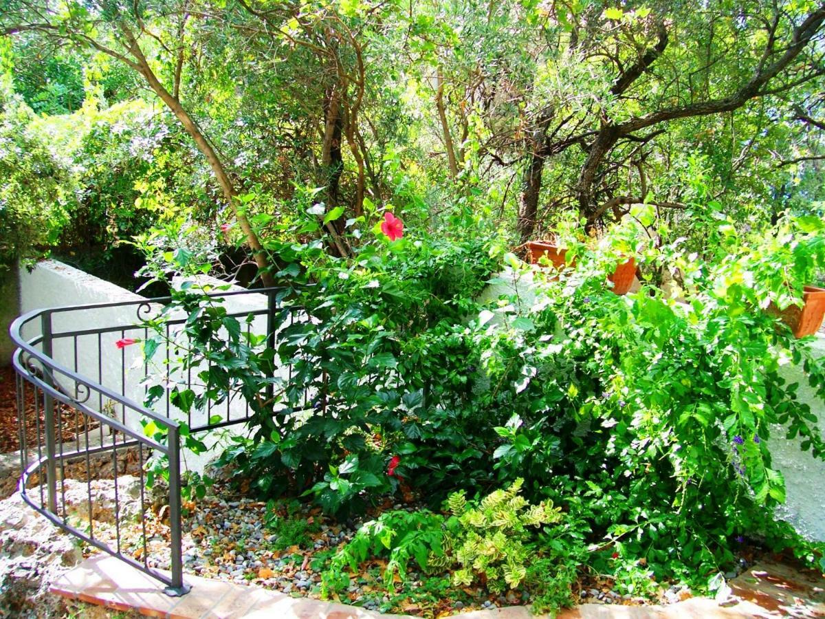 אקוואפרדה B&B La Casa Del Gelso מראה חיצוני תמונה