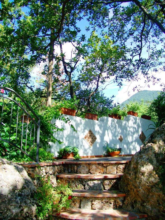 אקוואפרדה B&B La Casa Del Gelso מראה חיצוני תמונה