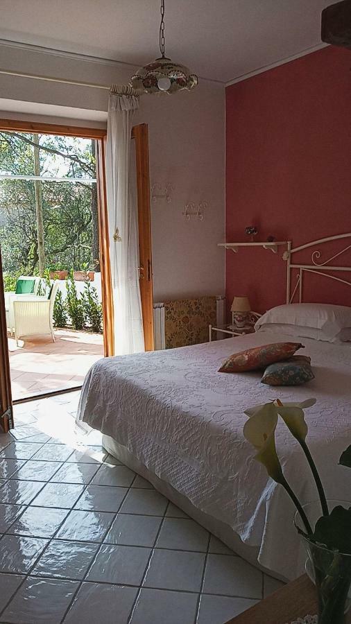 אקוואפרדה B&B La Casa Del Gelso מראה חיצוני תמונה