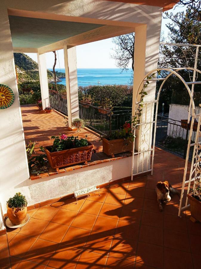 אקוואפרדה B&B La Casa Del Gelso מראה חיצוני תמונה