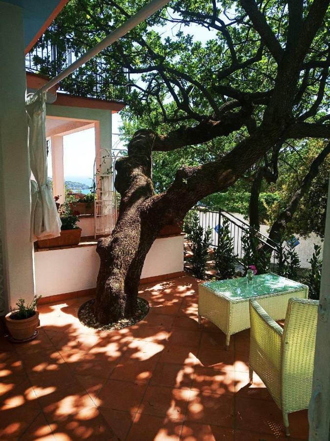 אקוואפרדה B&B La Casa Del Gelso מראה חיצוני תמונה
